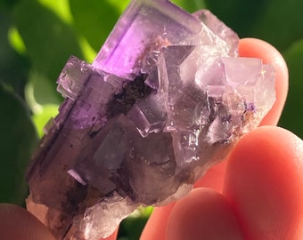 Phantom Fluorite | Cave in Rock District | Hardin County  Illinois