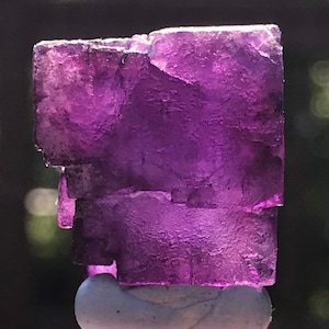 Saturated Etched Purple and Deep Violet Fluorite Cube | Ojuela Mine Mapimi Municipality Durango Mexico