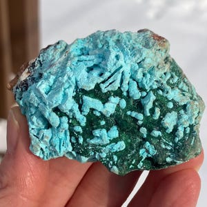 Peut inclure: Gros plan sur un spécimen minéral aux couleurs turquoise et vert profond. La surface présente un aspect texturé et cristallin, avec des formations rugueuses et irrégulières. Le spécimen est tenu dans une main, mettant en valeur sa beauté naturelle.