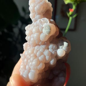 May include: A light pink, clustered mineral specimen with a bubbly texture. The stone is held in a hand, with a blurred background of green foliage and red flowers. The mineral has a smooth, rounded surface and varying shades of pink.