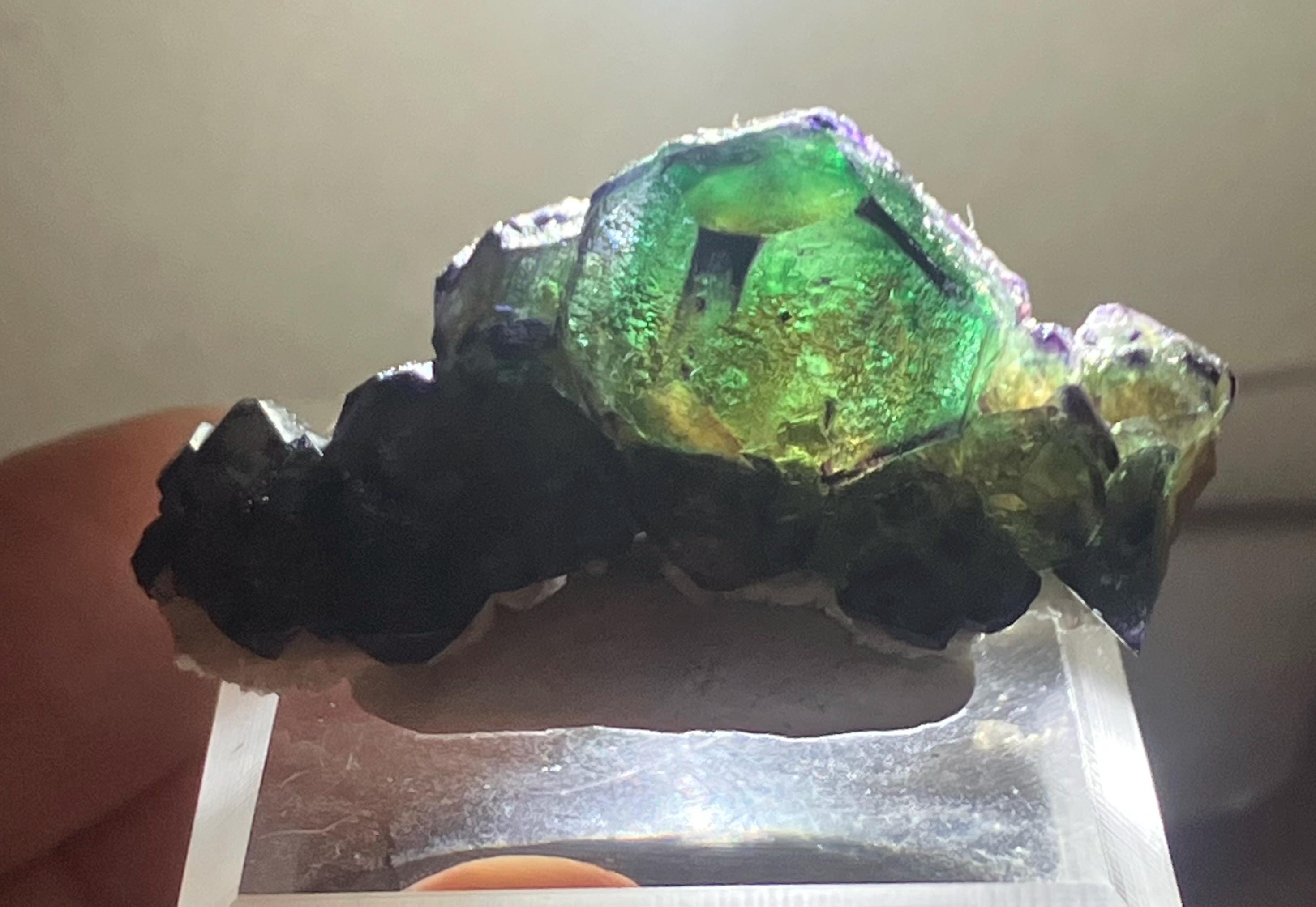Alien eye fluorite - Etsy 日本