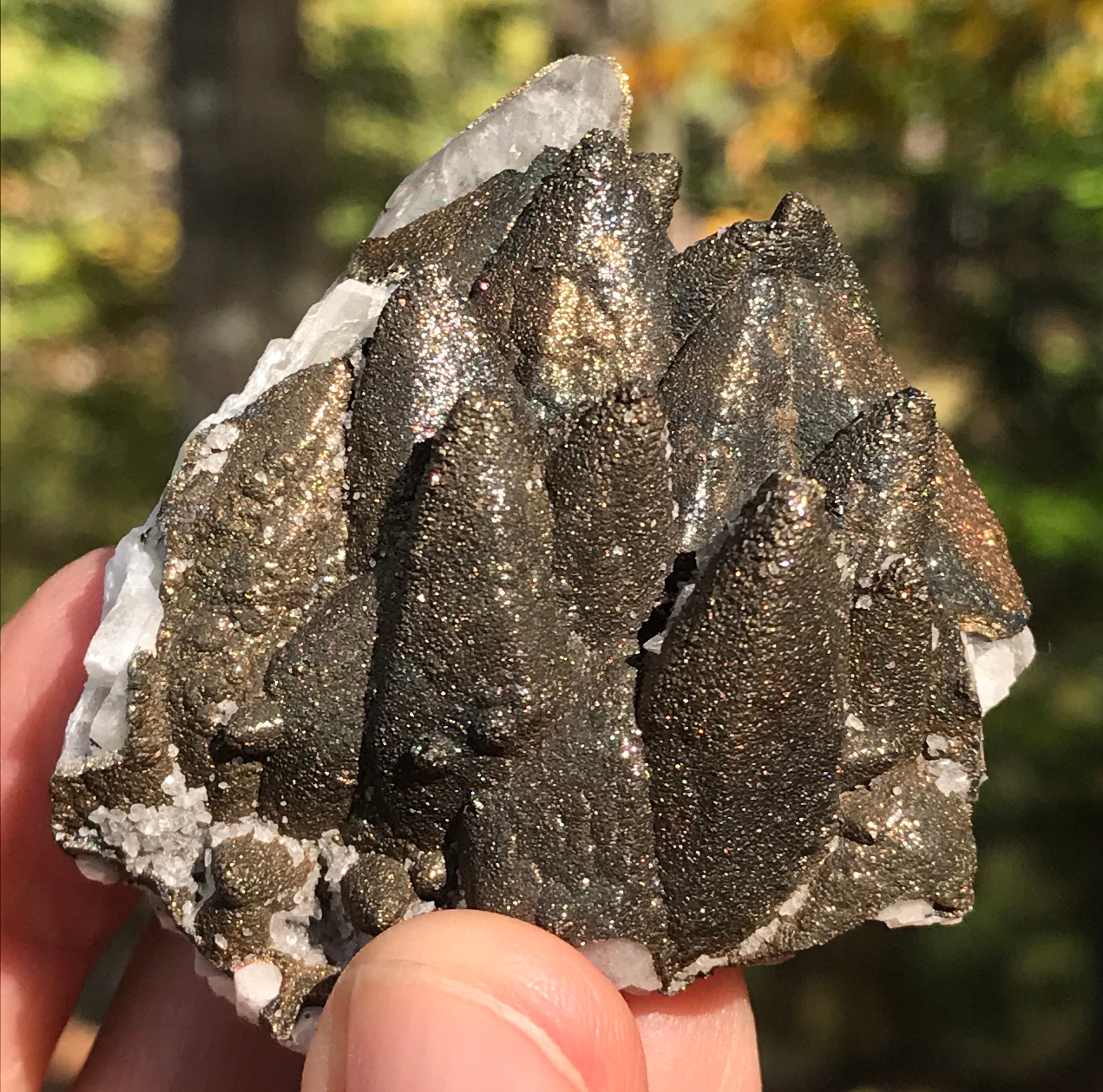 Cluster di calcite rivestita di calcopirite iridescente / Miniera di Delores Santa Maria De La Paz SLP Messico