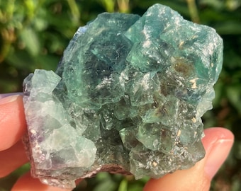 天然グリーンフローライト結晶クラスター – 26g | オコルス鉱山