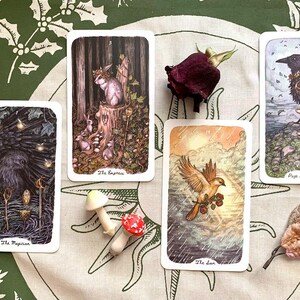 4-Card TAROT READING w/Ashley using Oak, Ash & Thorn