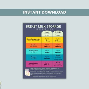 Breast Milk Storage Guidelines Sheet, Postpartum and Lactation Resources, Safe Breast Milk Reference Guide Instant Download Blue