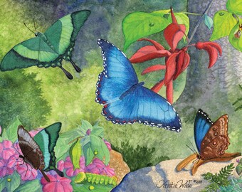Tropical Butterfly, 5 blank note cards with envelopes