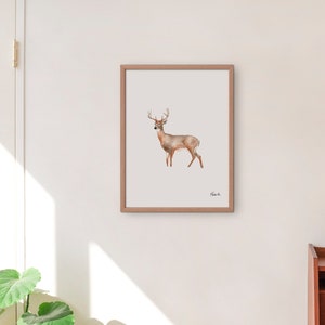 Deer Art print, animal poster, children room, nursery, made in Quebec, Canada - Affiche cerf, animaux de la forêt du Québec, Fait au Canada