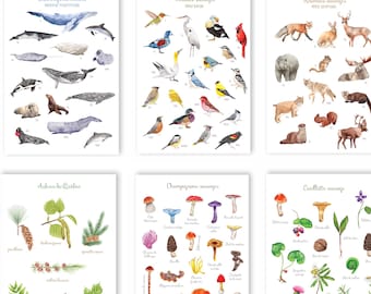 5 CARTES POSTALES au choix Faune et flore du Québec (animaux et fleurs) - 5 cartes POSTALES au choix de la faune et la flore du Québec