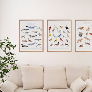 Art print Trilogy of Canada & Quebec animals and whales - Trilogie Affiches des animaux et baleines du Québec, Made in Quebec Canada Hobeika
