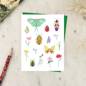 Bibittes Carte de souhait, écoresponsable Fait à Montréal Québec Hobeika Art - Bugs Carte de voeux écologique Fabriquée au Canada