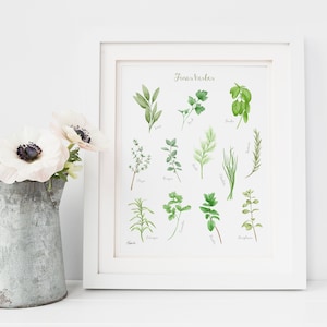 Kitchen herbs Art print, aromatic herbs poster, Made in Quebec Canada - Affiche fines herbes, Affiche herbes cuisine, Fait au Québec Canada