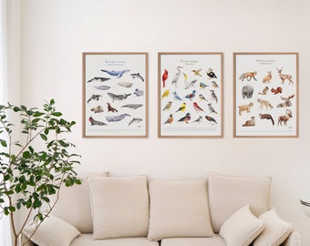 Impresión de arte Trilogía de animales y ballenas de Canadá y Quebec - Trilogie Affiches des animaux et baleines du Québec, Made in Quebec Canada Hobeika