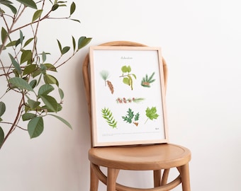 Arboretum Art print / Tree Educative poster / Made in Canada - Arbres et feuilles du Québec / Affiche éducative / Fait au Québec, Canada