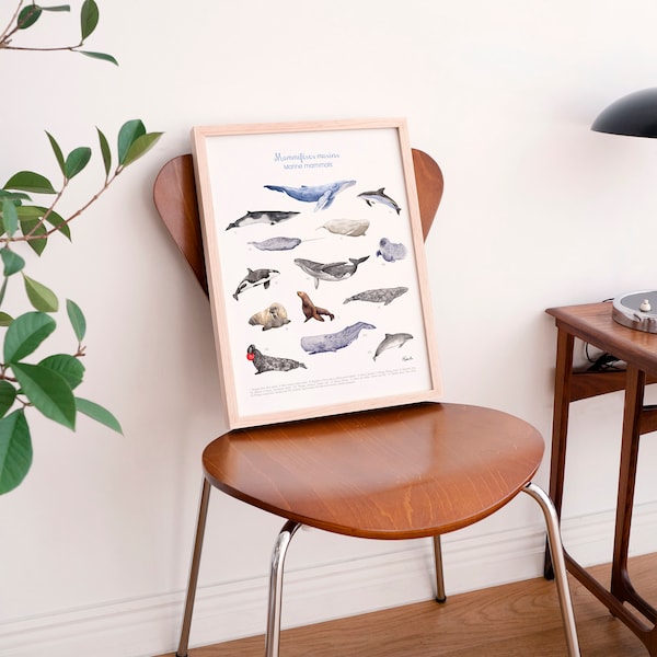 Marine mammals water animals, whales Art print poster - Mammifères marins, baleines du Québec, Affiche Hobeika Art