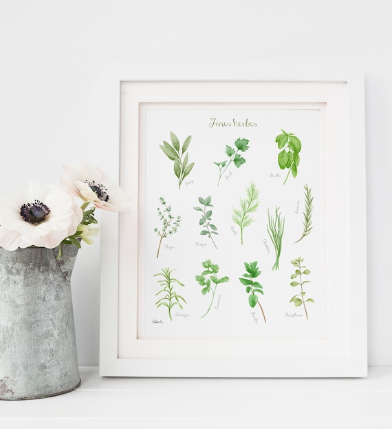 Kitchen herbs Art print, aromatic herbs poster, Made in Quebec Canada - Affiche fines herbes, Affiche herbes cuisine, Fait au Québec Canada