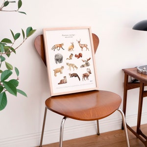 Wild animals Art print, Forest animals poster Made in Quebec Canada - Animaux sauvages de la forêt du Québec, Affiche Fait au Québec Canada