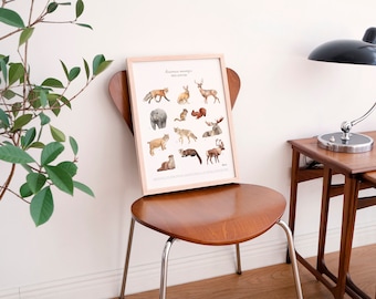 Animales salvajes Impresión de arte, Cartel de animales del bosque Hecho en Quebec Canadá - Animaux sauvages de la forêt du Québec, Affiche Fait au Québec Canada