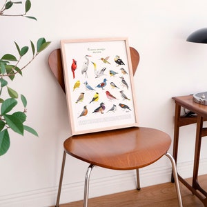 Wild birds Art print, Garden birds poster, Made in Quebec Canada - Oiseaux du Québec, Affiche fait au Québec, Canada, Hobeika Art