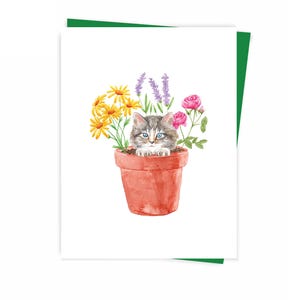 Peekaboo cat greeting card, ecofriendly Made in Montreal Quebec Canada - Coucou Carte de souhaits, ecoresponsable Fait au Québec Hobeika Art