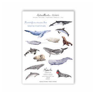 Stickers decals Vinyl, Whales, removable, waterproof Made in Montreal Quebec Canada - Autocollants Baleines Vinyl Amovibles, Fait au Québec