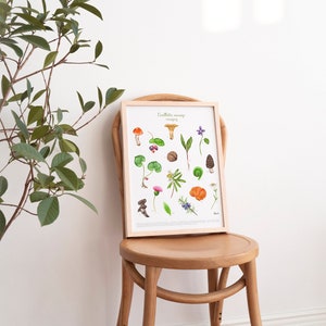 Foraging, Wild picking Art print / Educative poster - Cueillette sauvage au Québec, Affiche éducative champignons Fait au Québec Canada