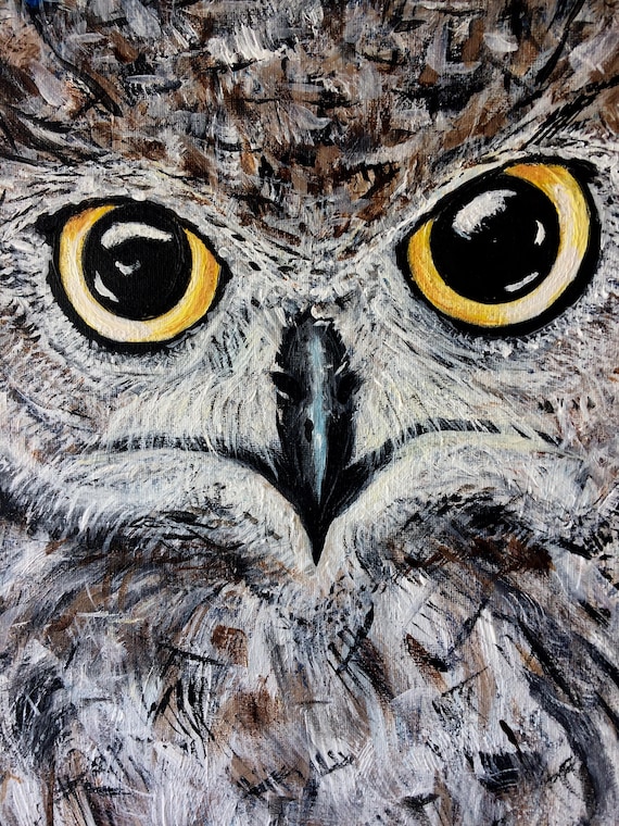 Owl  , (16"X20") hibou , nature , wild, eyes, chouette , yellow eyes, yeux jaunes , animal lovers