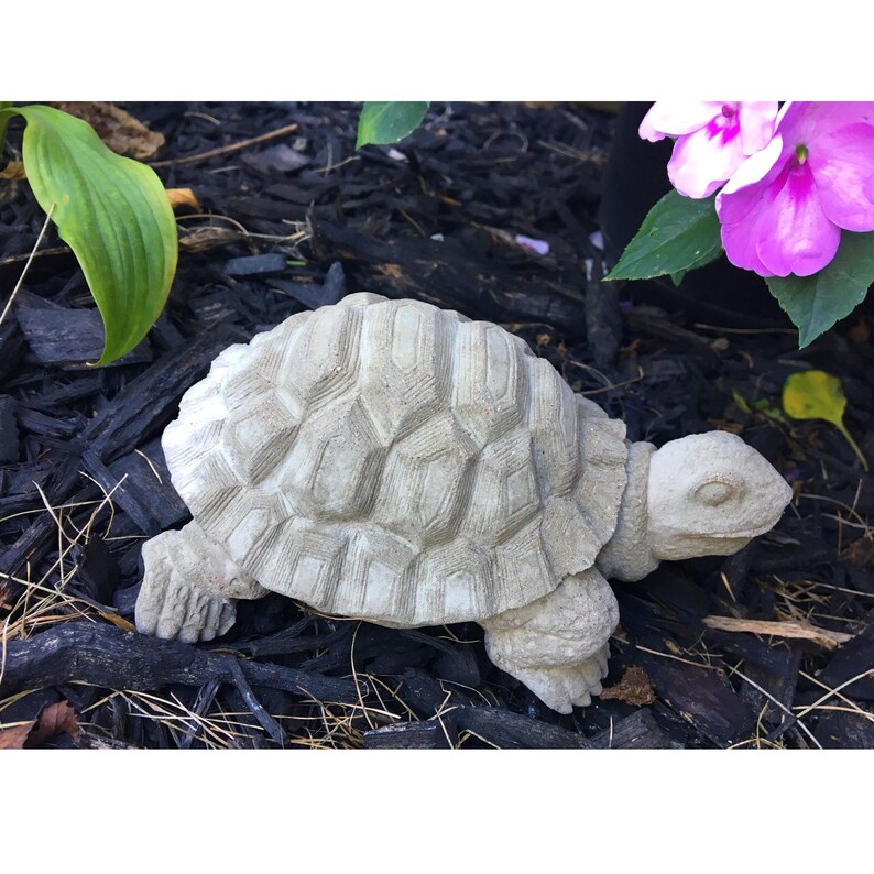 Concrete Tortoise Statue Concrete Garden Statue Garden Etsy