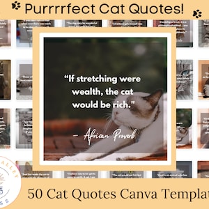 Plantilla CANVA de 50 frases sobre gatos para Instagram y Facebook
