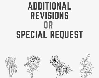 Aanvullende revisies of speciaal verzoek