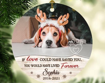 Pet Memorial Ornament - If Love Could Have Saved You, Personalized Christmas Sympathy Gift
