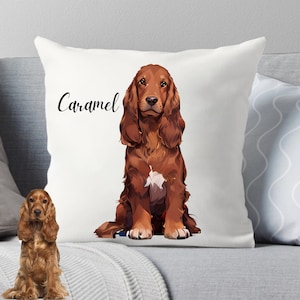 Custom Cartonized Pet Pillow, Personalized Pet Photo Pillow, Perfect Gift for Pet Parents