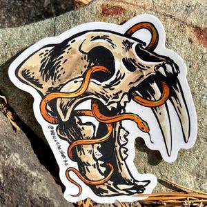 Puede incluir: Una pegatina con una calavera de tigre dientes de sable con serpientes naranjas entrelazadas. La calavera es marrón y negra, con grandes colmillos. Las serpientes son naranjas con reflejos amarillos. El texto "@marc.the.shark" es visible.