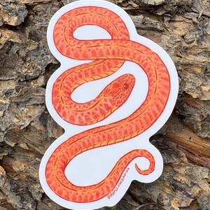 Op de afbeelding: Een sticker met een gedetailleerde illustratie van een oranje slang met een rode kop en schubbenpatronen. De slang is opgerold op een witte achtergrond, met de handtekening van de kunstenaar. De sticker ligt op een houten ondergrond.