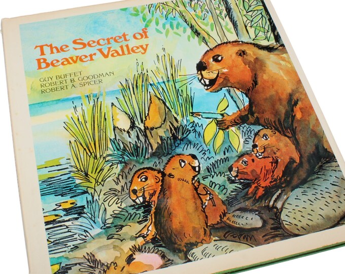 The Secret of Beaver Valley (1974) | Rare Vintage Book About Life by ...