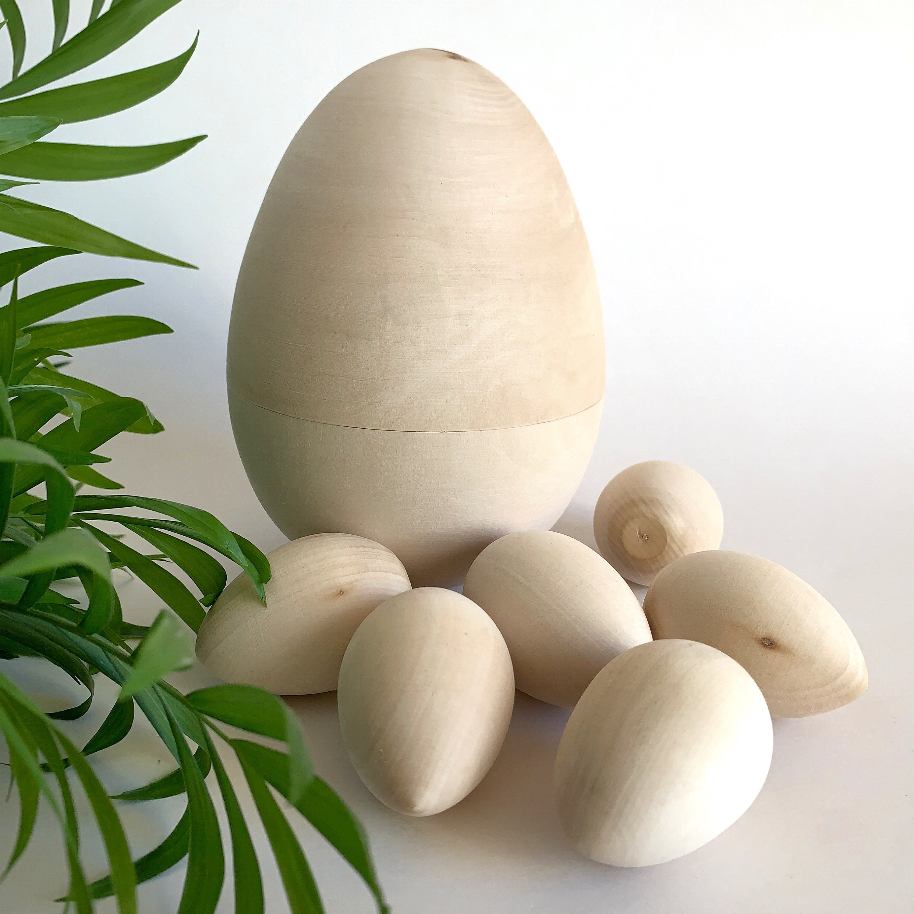 Natural Hollow Wooden Eggs - Set of 6