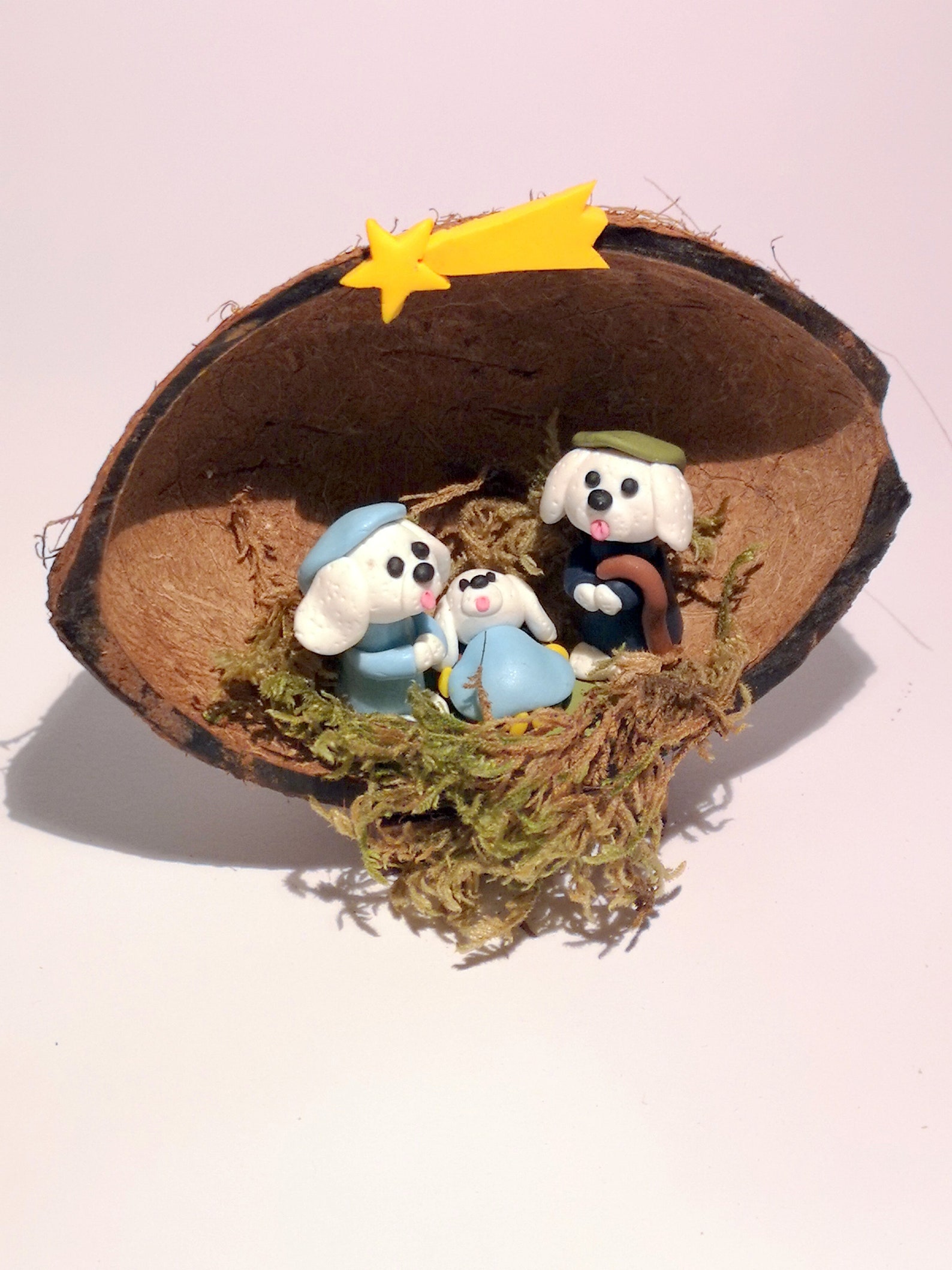 Bichon Frise Dog Nativity Set in a Coconut Shell Nativity Etsy