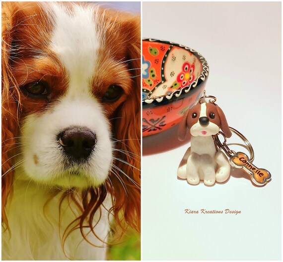 miniature king charles cavalier