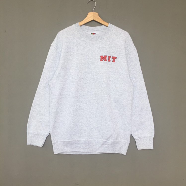 pulli mit möwe