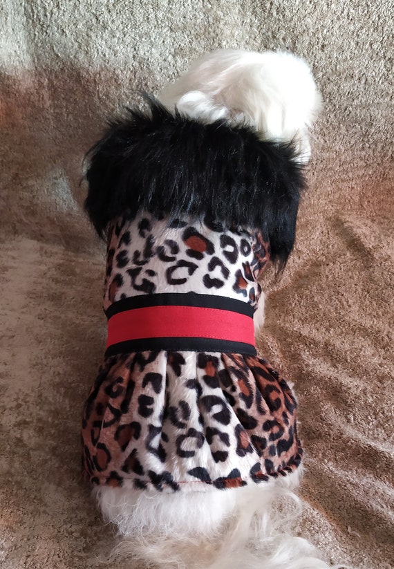 small dog jackets