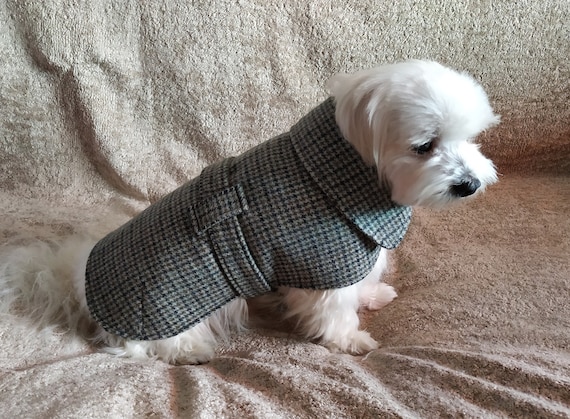 small dog jackets