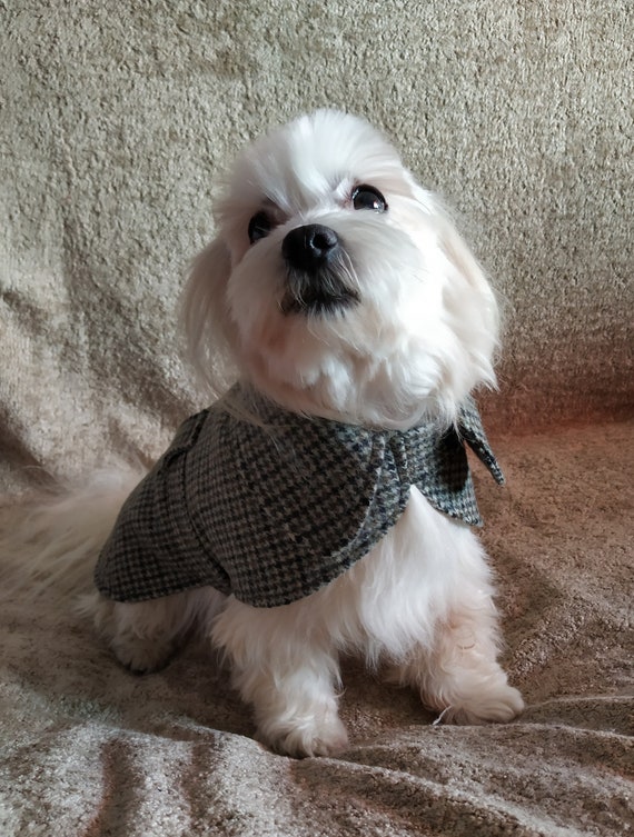 Kleine Hund Hund Jacke Hund Wintermantel Hund Mantel warmer