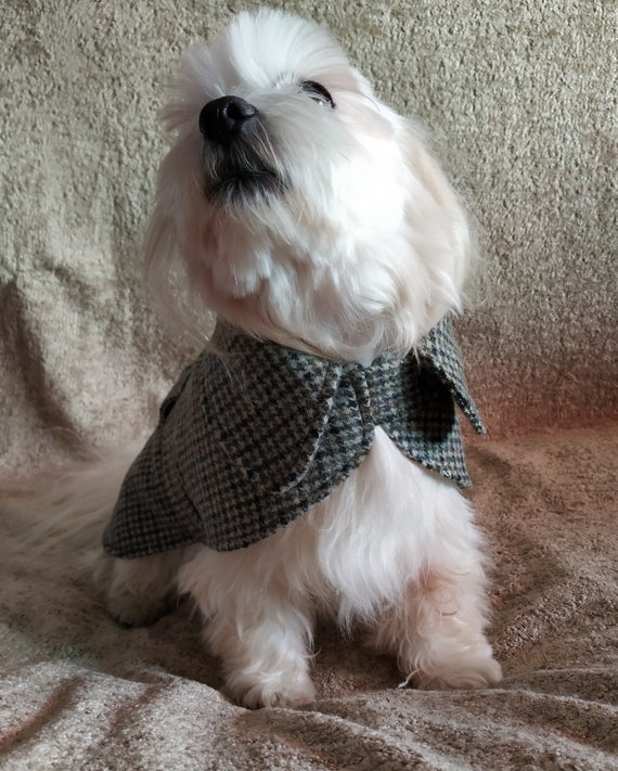 Kleine Hund Hund Jacke Hund Wintermantel Hund Mantel warmer