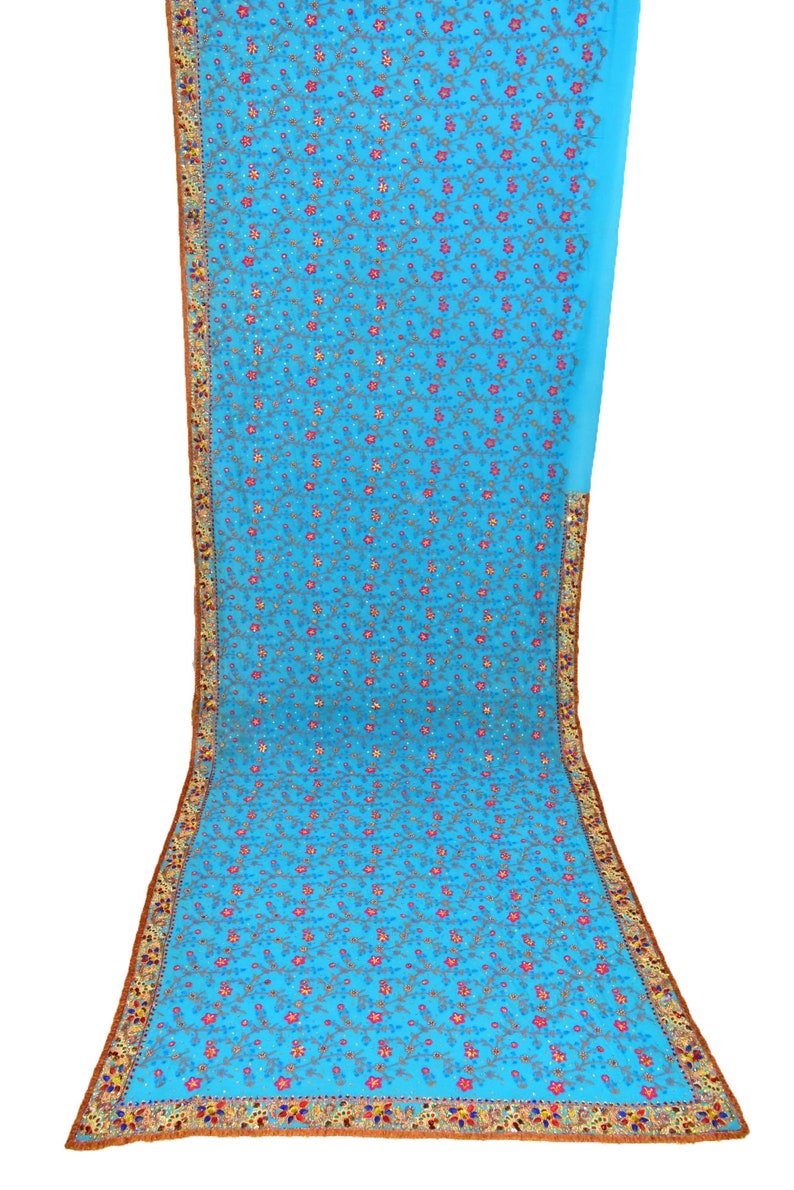 May include: A light blue chiffon saree with a floral embroidery pattern. The saree has a gold and brown border with intricate details.