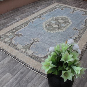 May include: A light blue rug with a beige border and a floral pattern. The rug is on a wooden floor and there is a potted plant in the foreground.