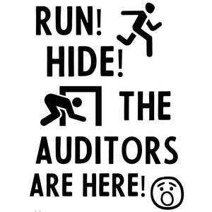 Accountant Wall Art Auditor Gift Accounting Humor