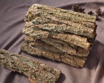 Oak bark for crafts Organic Oak bark décor Natural bark Wedding Decor Holiday Bark decoration Woodland party decor creature decorations