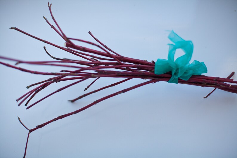 Red Dried Stems Red Branches Dried Sticks Home Decor Vase Etsy