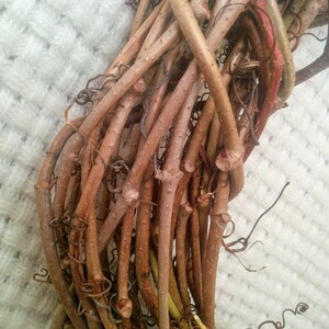 May include: A close-up of a brown grapevine wreath. The vines are intertwined and have a natural, rustic look.