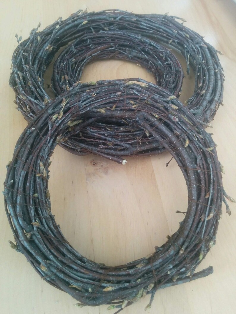 Set of Birch Wreath Rounds Large Tree Items Tree for Sale Tree Etsy