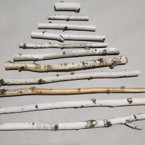 May include: Arrangement of birch branches and bark, forming a triangular shape. The branches vary in length and thickness, with a mix of white and brown tones. The composition is set against a neutral gray background.